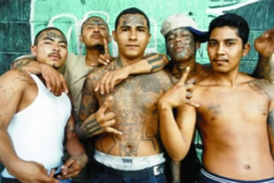 hispanic_gangs_front.jpg